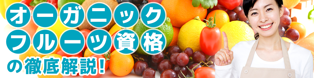 オーガニックフルーツ資格の徹底解説！サイトイメージ