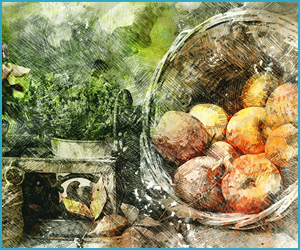 フルーツの保管方法と長期保存のコツ